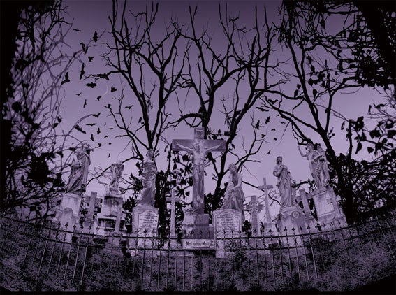 Sleeping Garden Long OP by Moi-même-Moitié